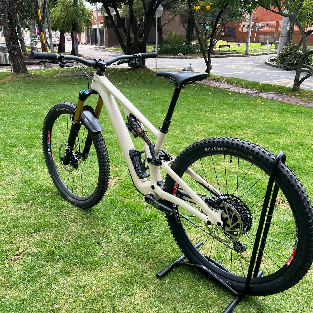 ✅ Stumpjumper Evo PRO 🔥 Talla S2 Rin 29 🍾