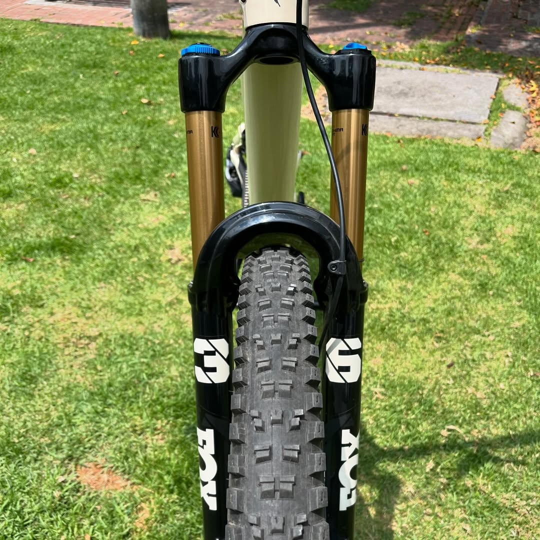 ✅ Stumpjumper Evo PRO 🔥 Talla S2 Rin 29 🍾