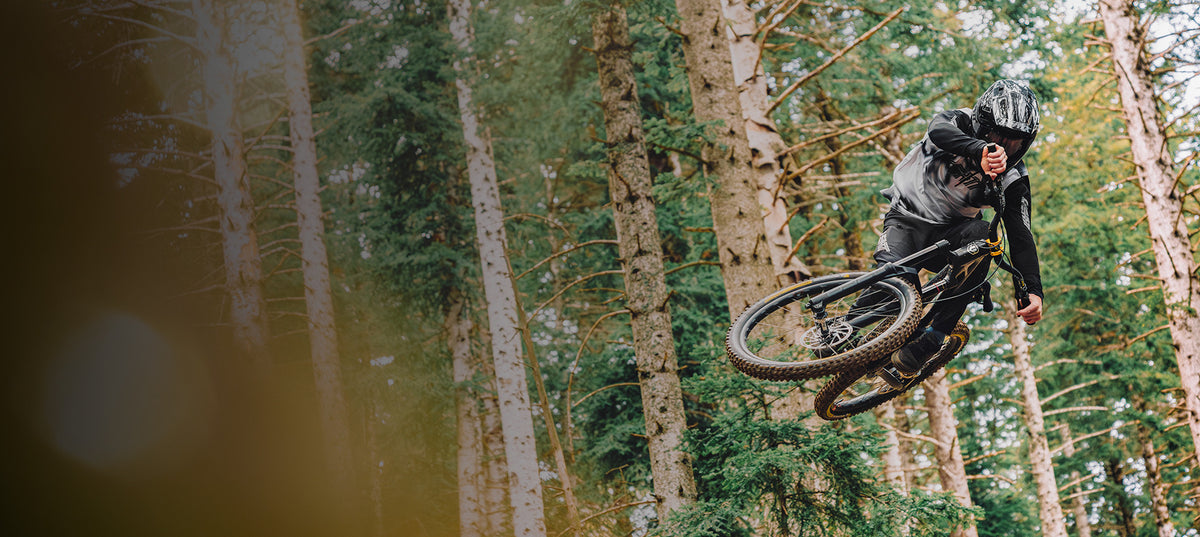ENTRA EN TU SHRED STATE CON ANARK