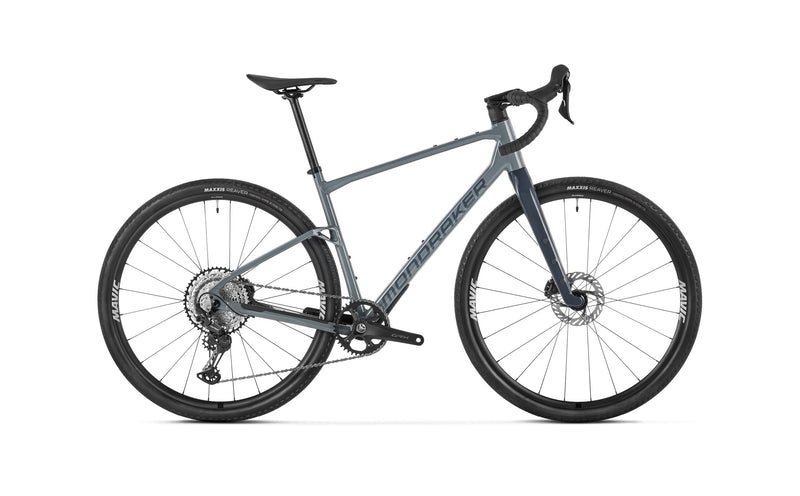 ARID S, Greyhound Grey