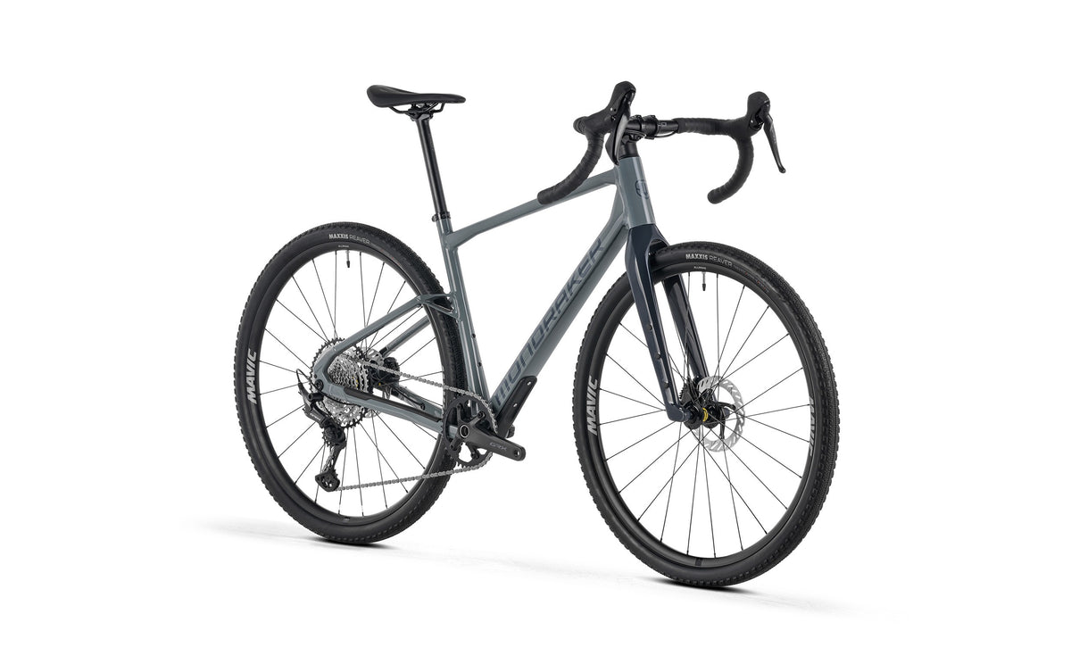 ARID S, Greyhound Grey