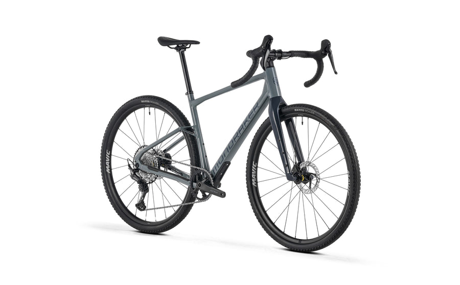 ARID S, Greyhound Grey
