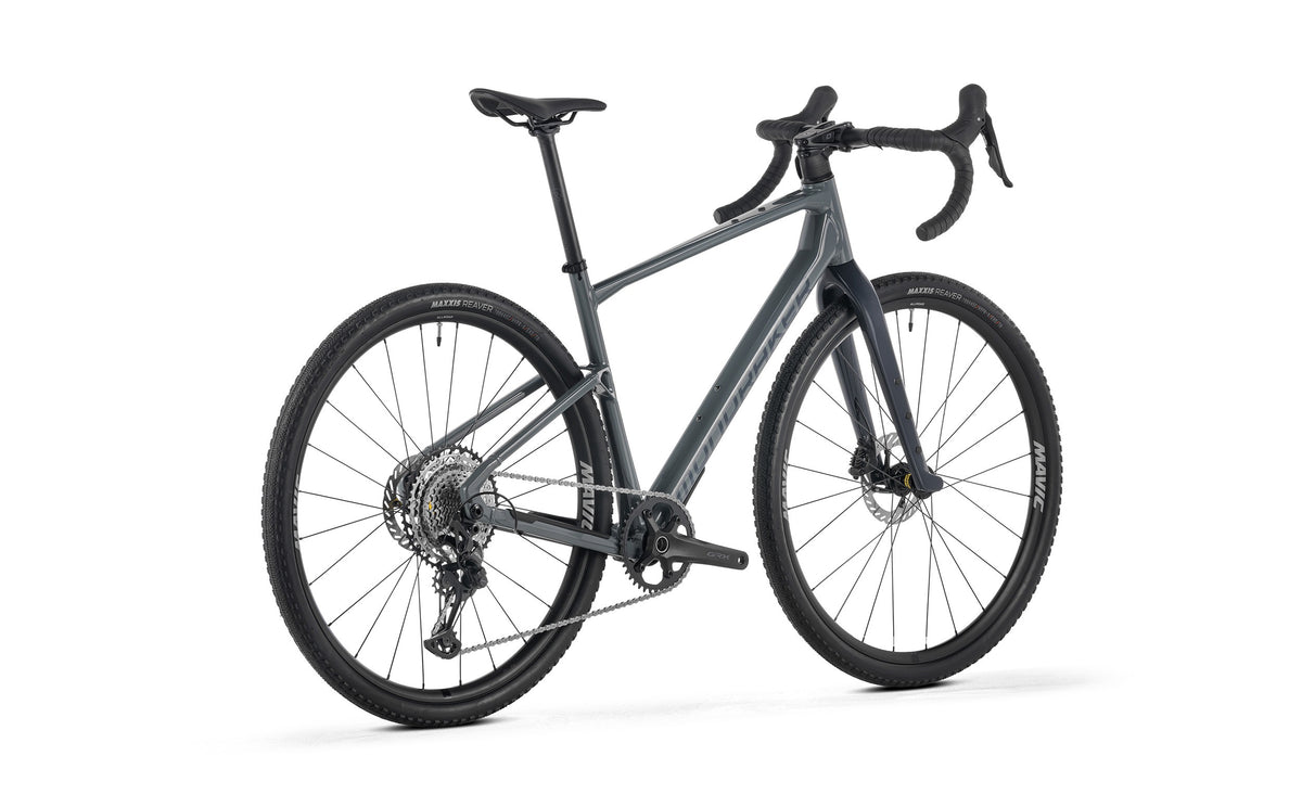 ARID S, Greyhound Grey