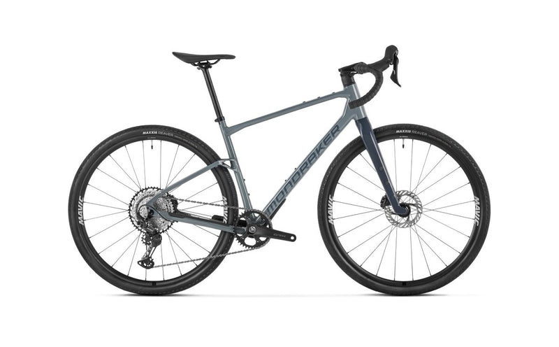 ARID S, Greyhound Grey