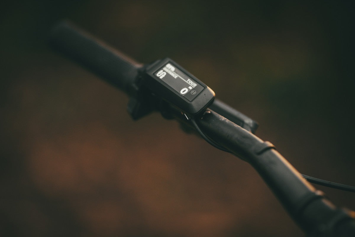 Mondraker Prime, pantalla Purion 200