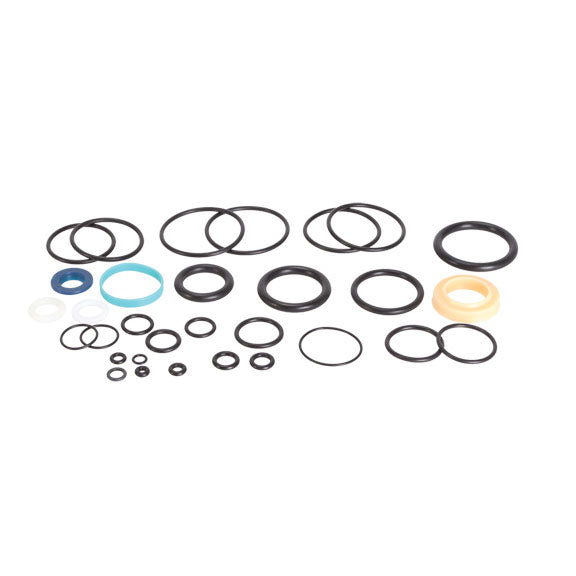 Damper Seal Rebuild Kit, DHX2