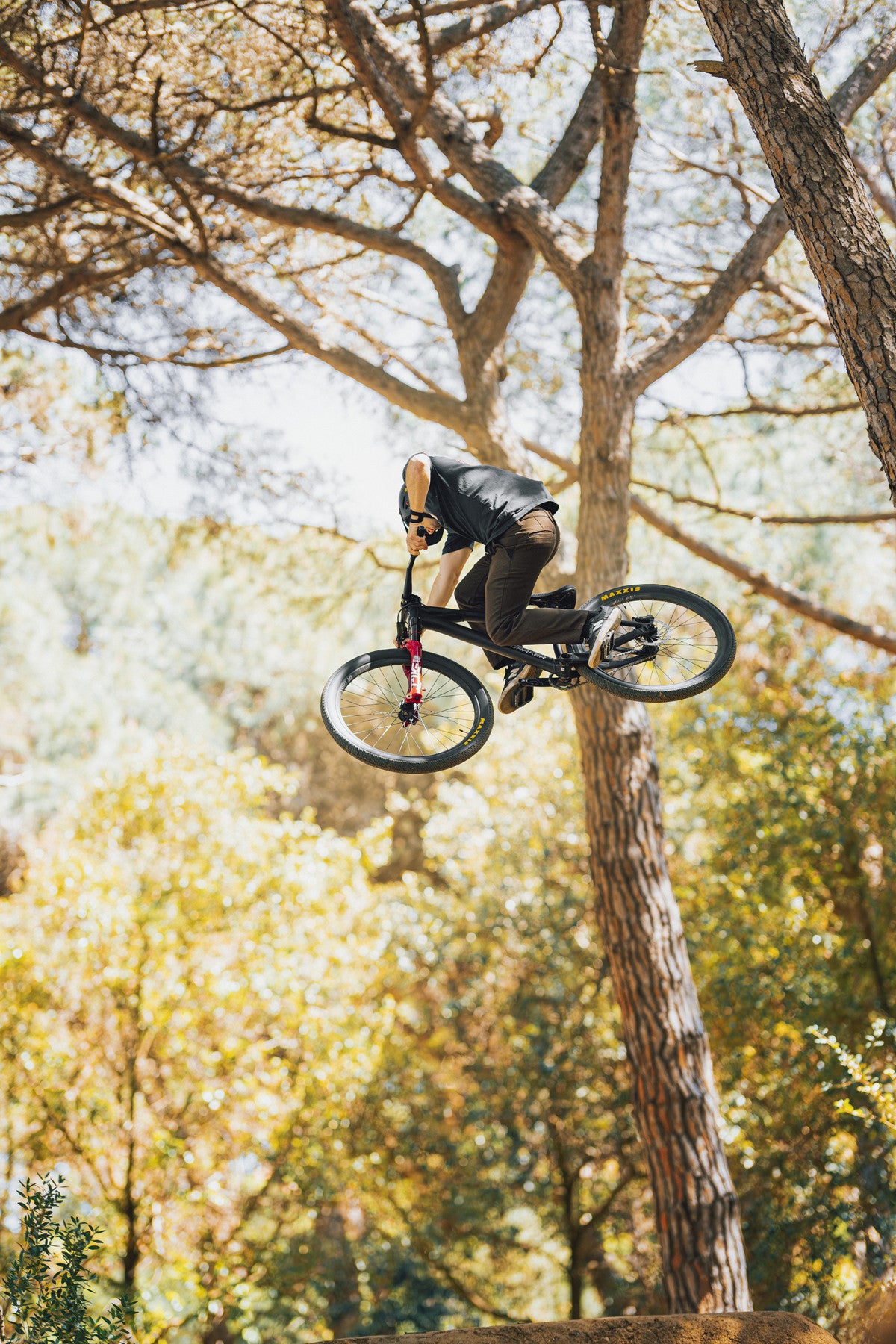 Mondraker Kaoz dirt jump