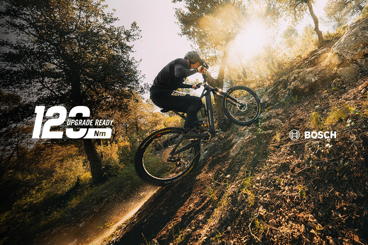 BOSCH CX: HASTA 120 NM