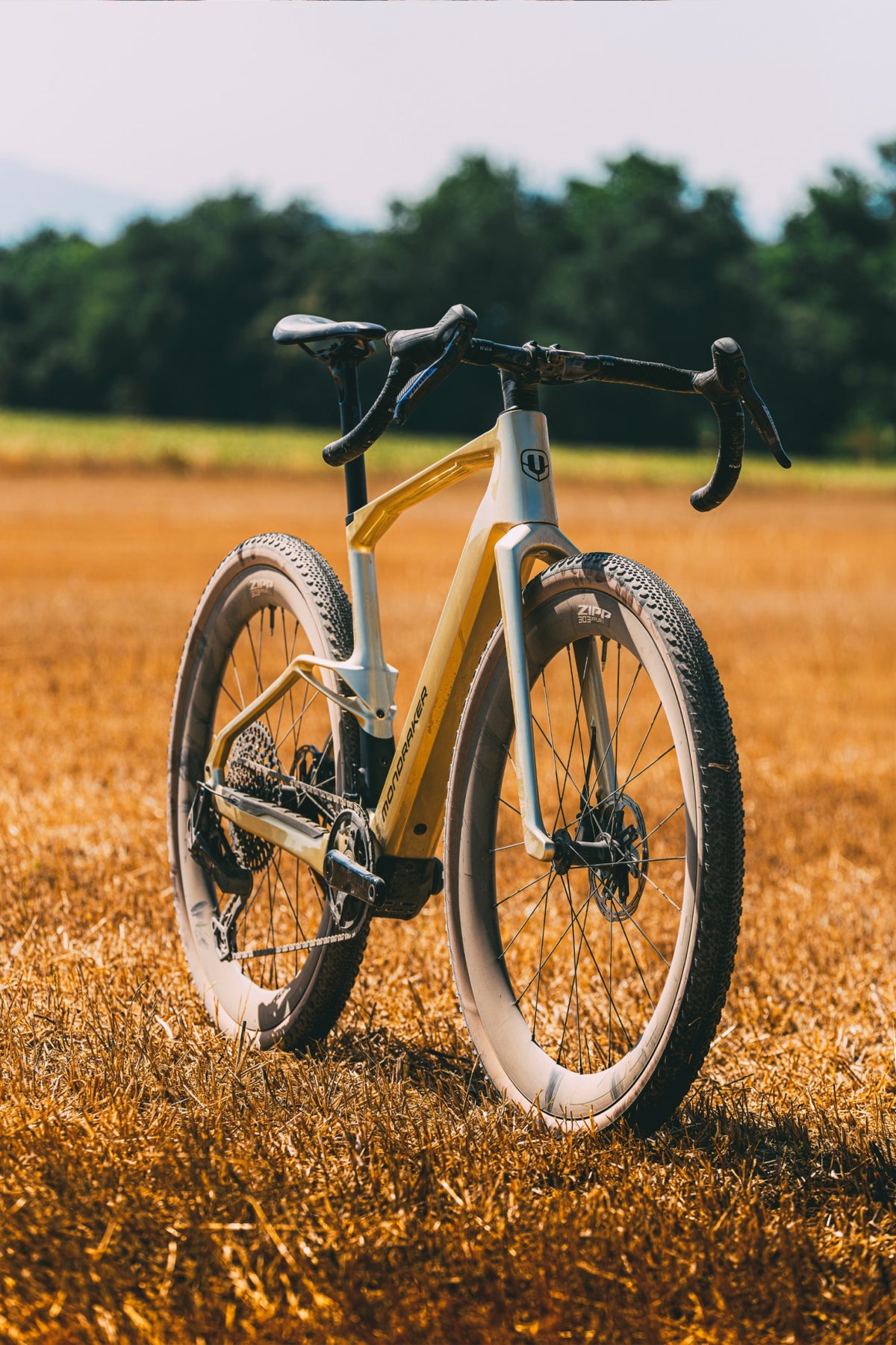 Mondraker Dusty TQ RR