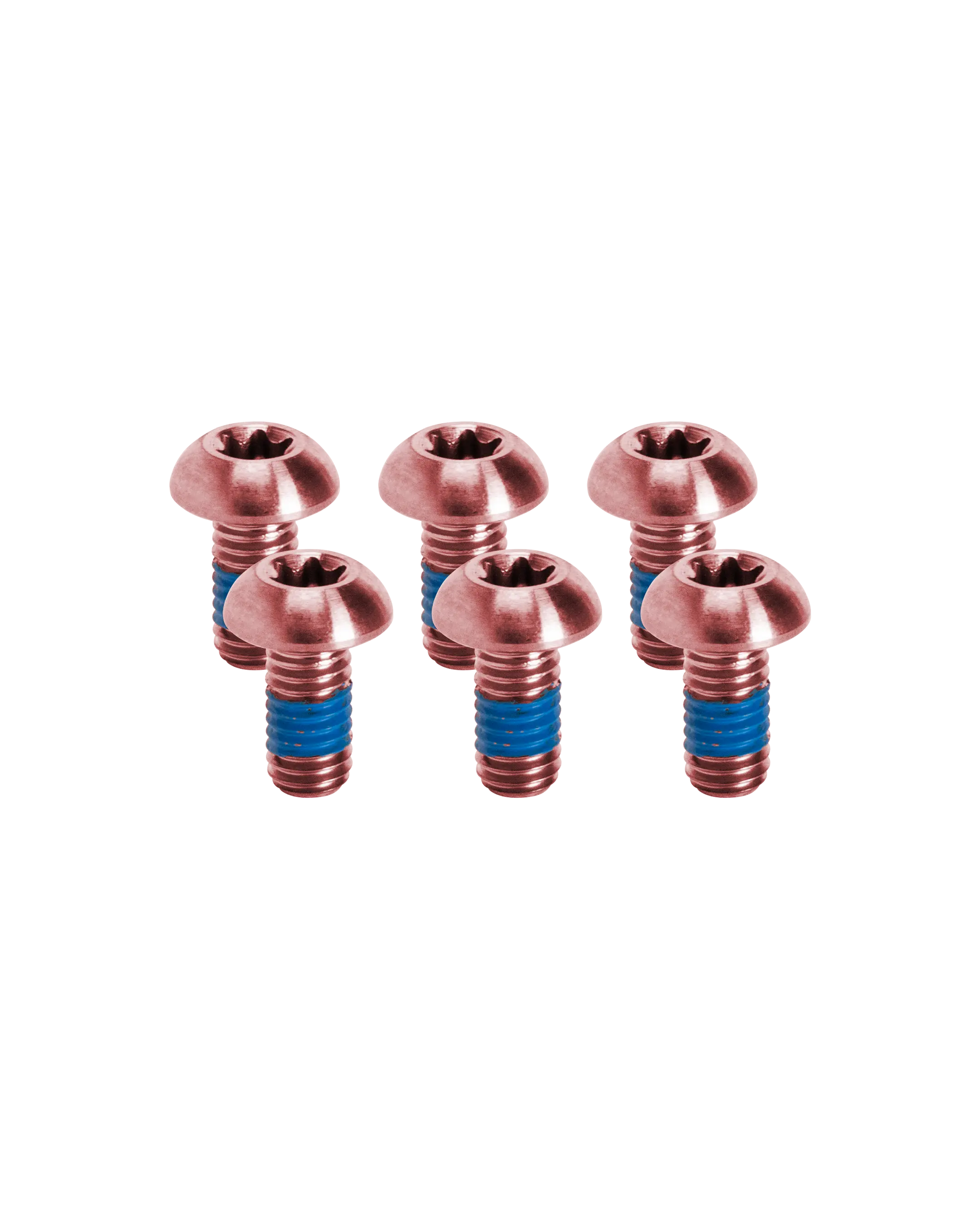 Tornillos de Titanio para Rotores de Freno de Disco de Bicicleta