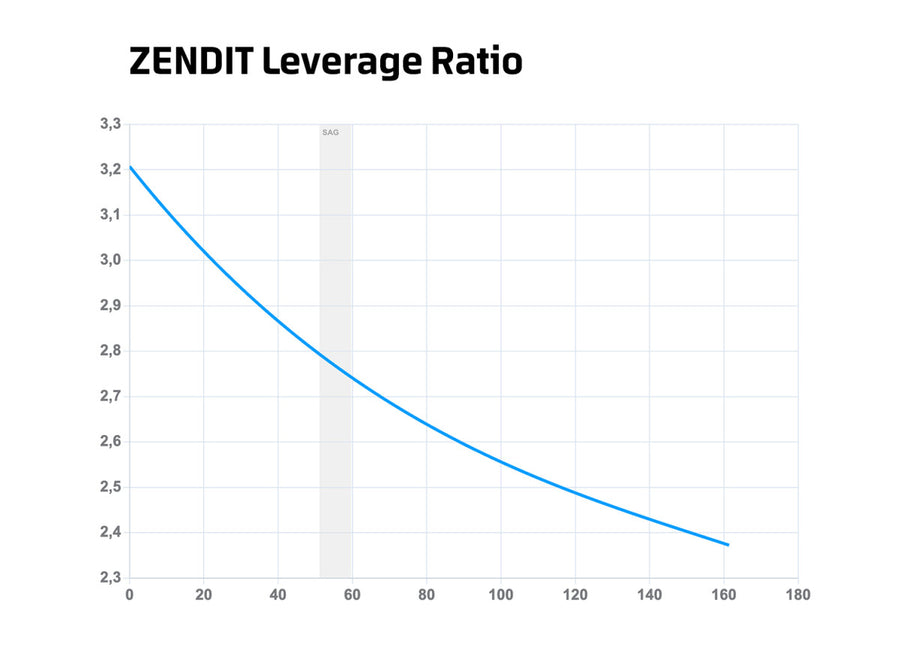 Leverage ratio