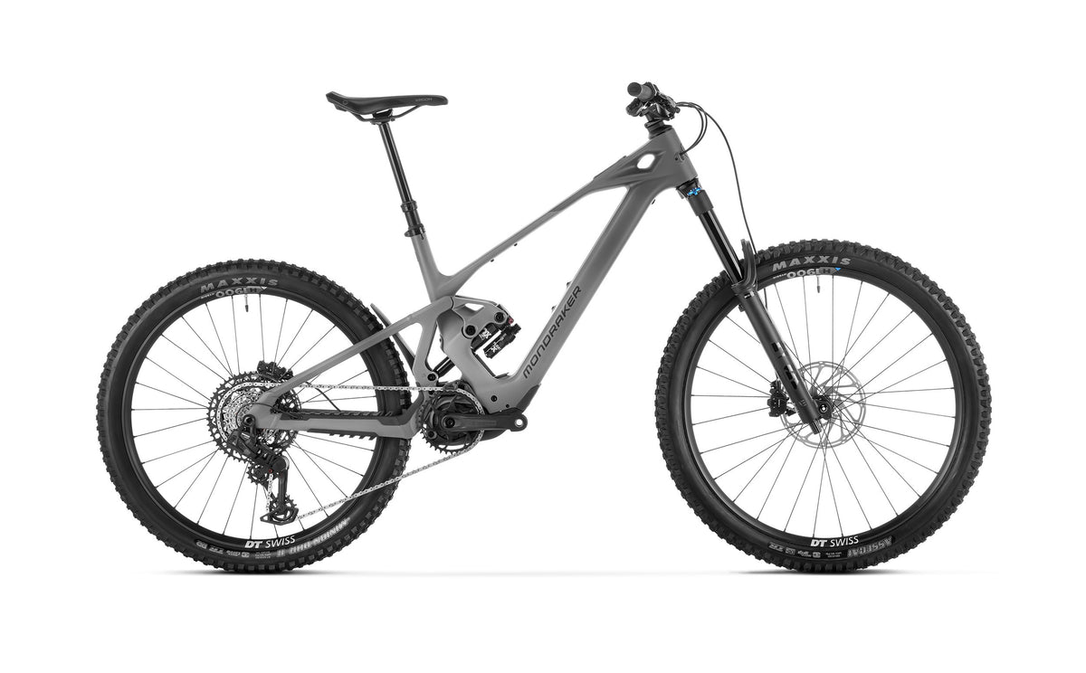 ZENDIT R, Greyhound Grey - Pidiendo Pista