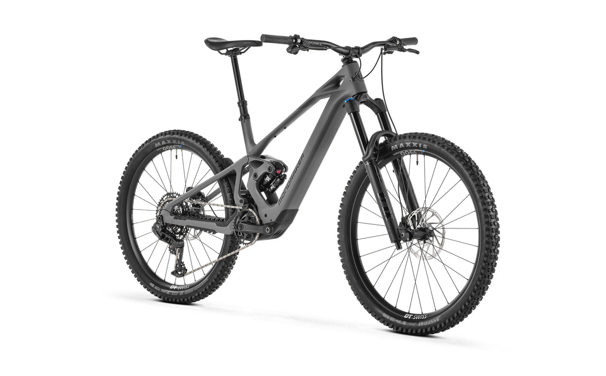 ZENDIT R, Greyhound Grey - Pidiendo Pista