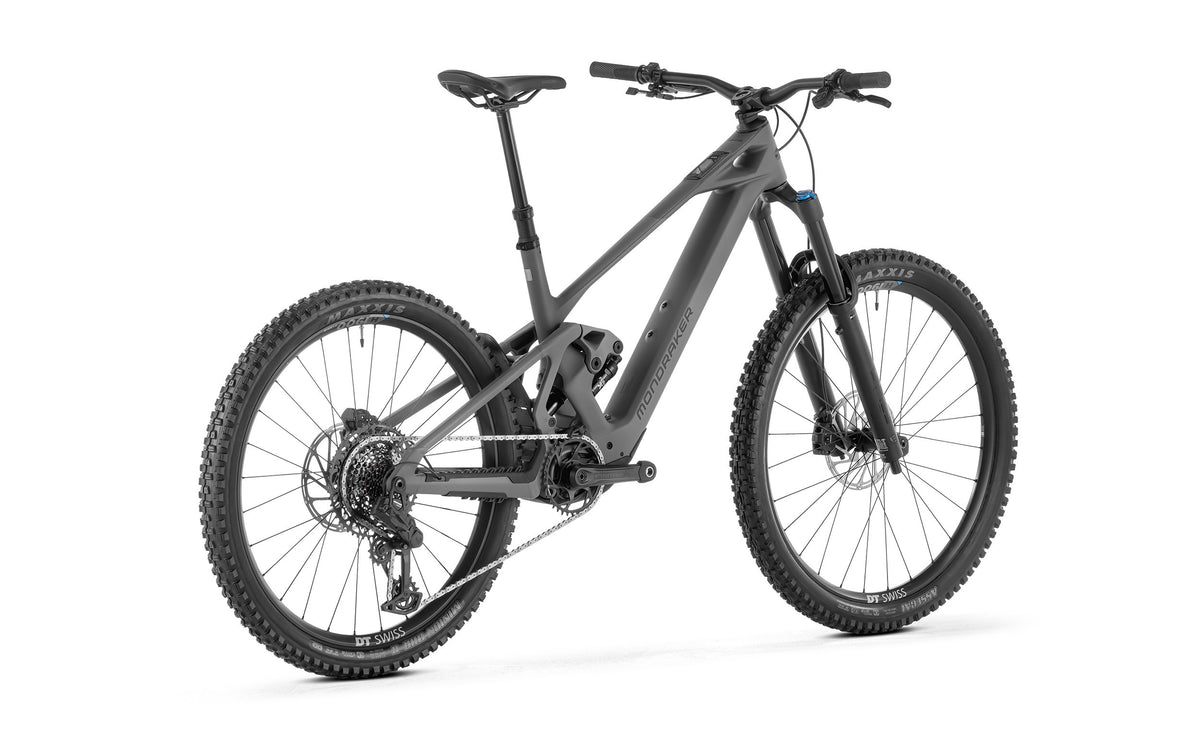 ZENDIT R, Greyhound Grey - Pidiendo Pista