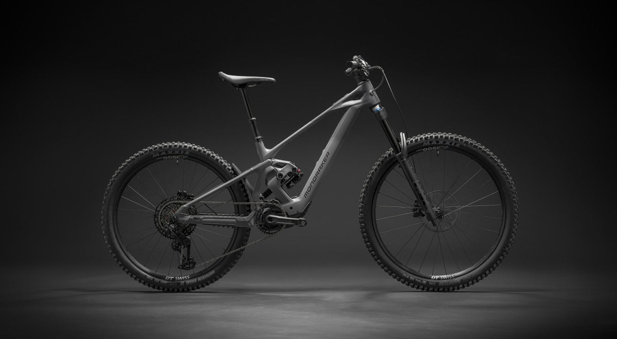ZENDIT R, Greyhound Grey - Pidiendo Pista