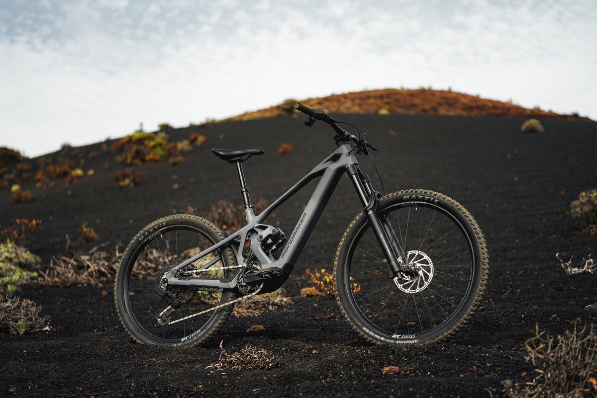 ZENDIT R, Greyhound Grey - Pidiendo Pista