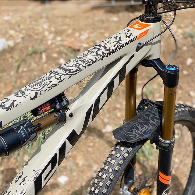 Guardabarro AMS, Devil