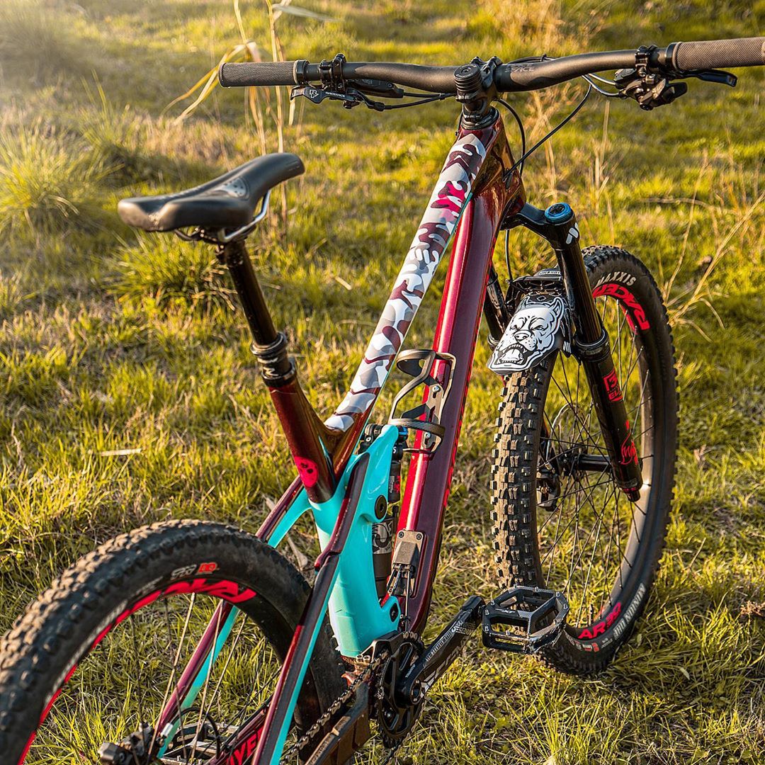 Guardabarro, PitBull