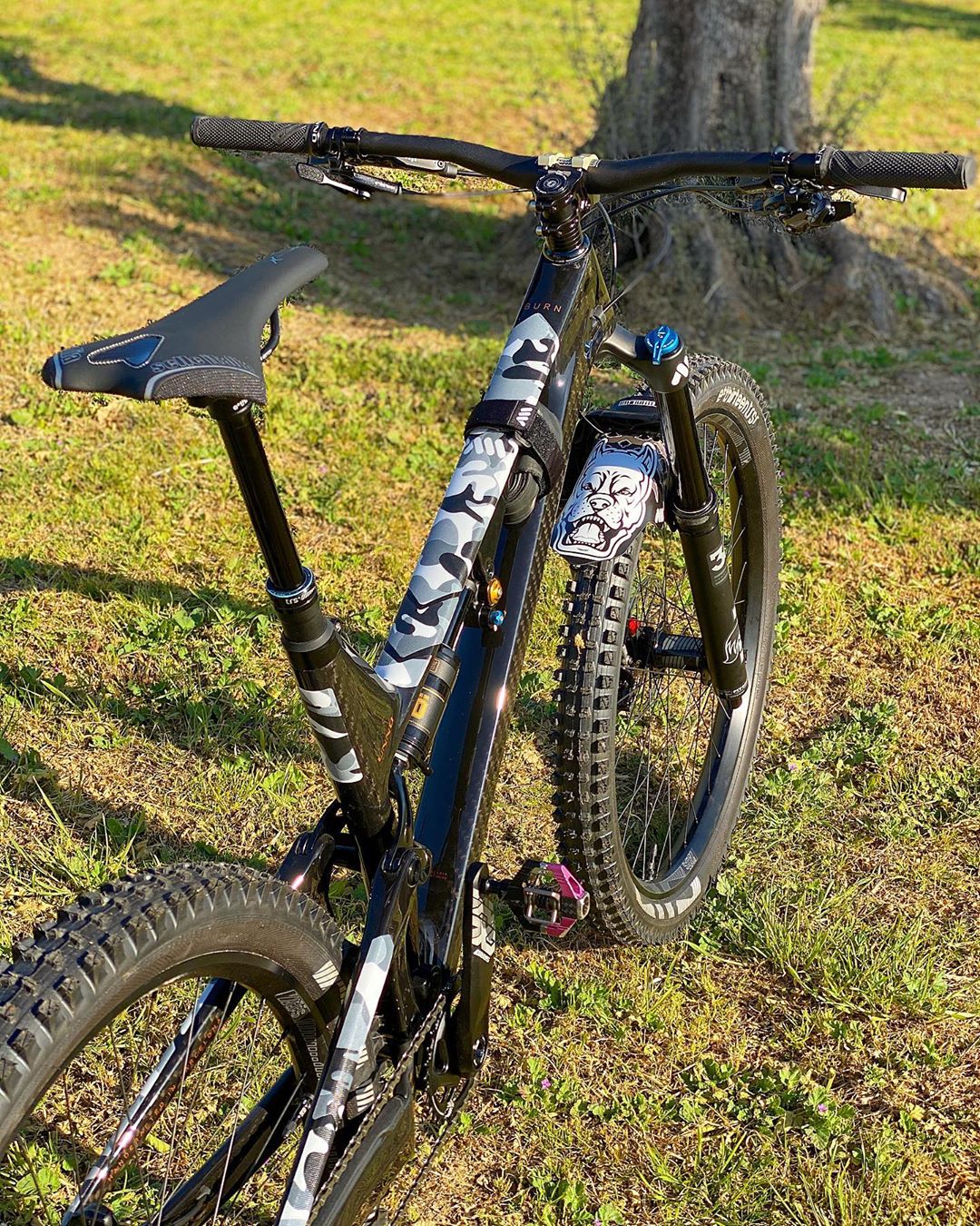 Guardabarro, PitBull