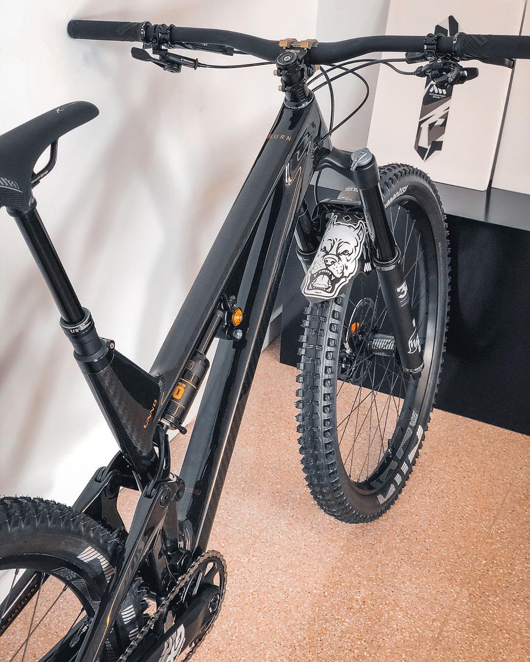 Guardabarro, PitBull