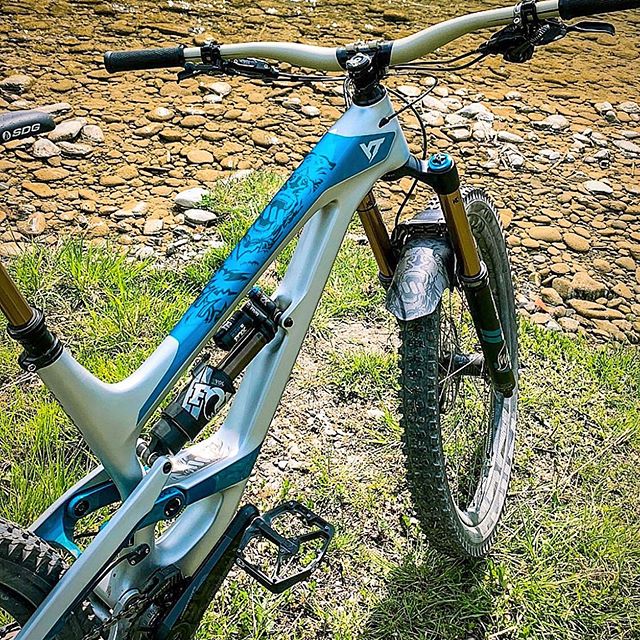 Protector Adhesivo Extra, Bear