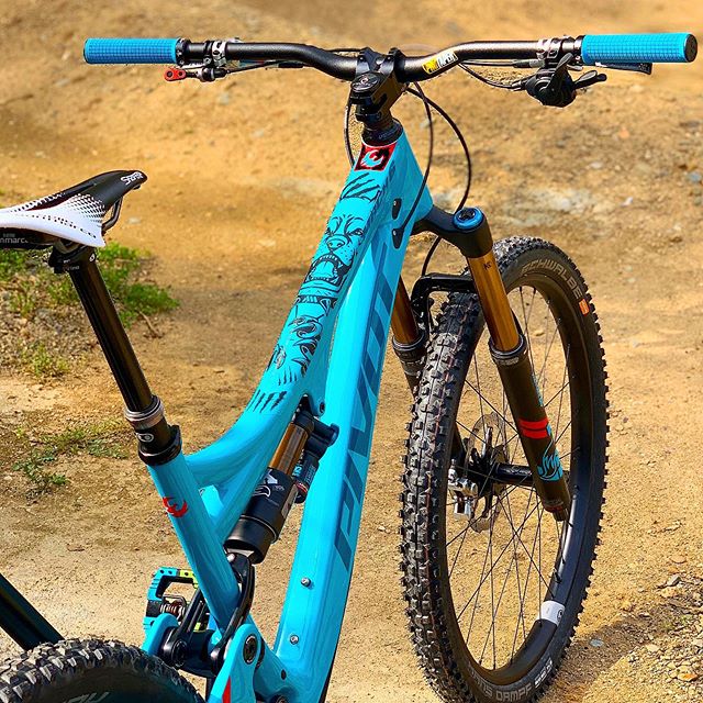 Protector Adhesivo Extra, PitBull