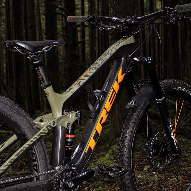 Protector Adhesivo Extra, Bear