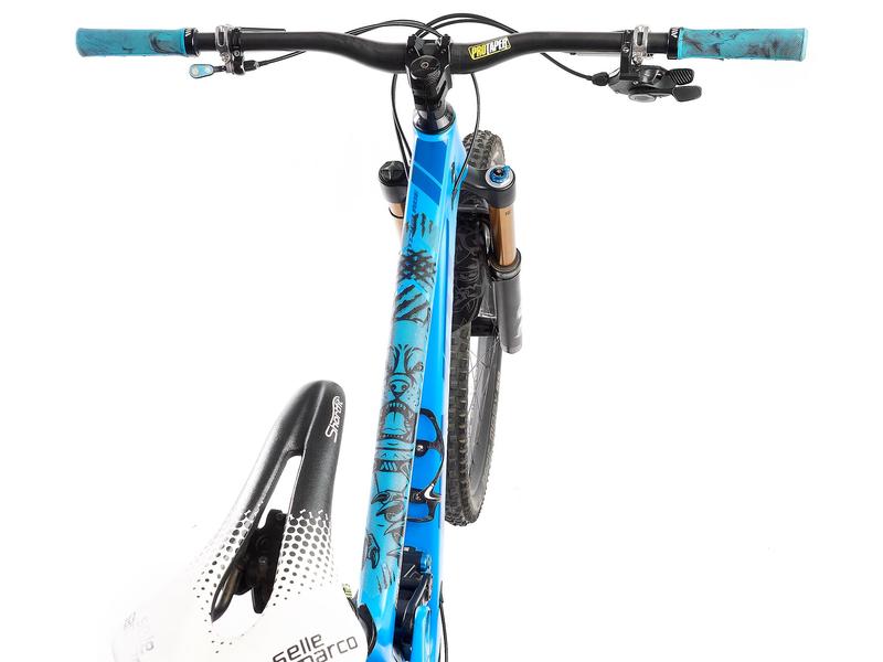 Protector Adhesivo Extra, PitBull