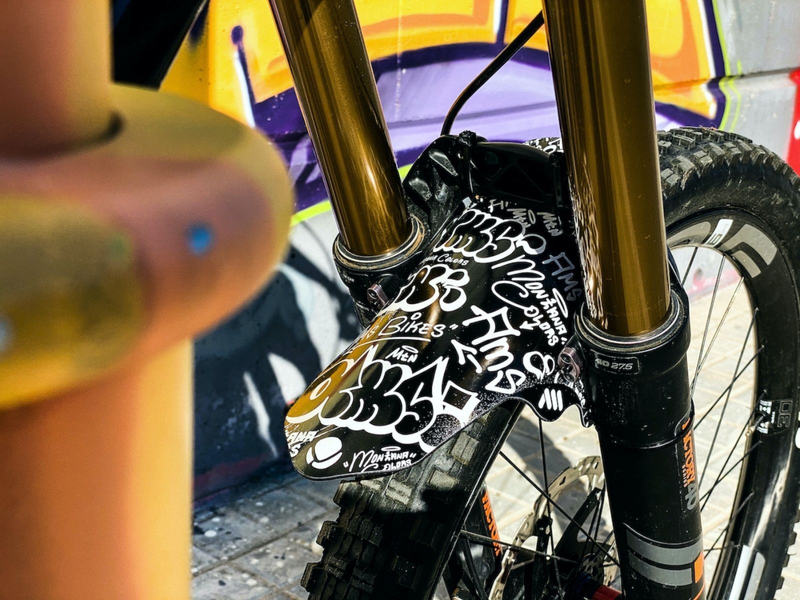 Guardabarro AMS, Montana Colors